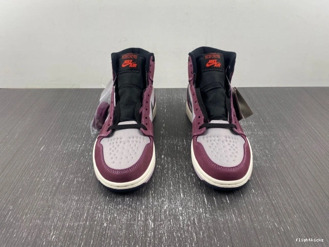 Jordan Gore-Tex Air Element 1 DB2889-500 0724